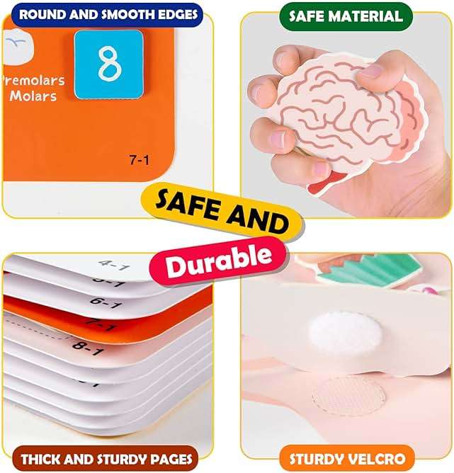 Freebear Montessori Busy Book for Kids, Human Body Anatomy Book for Toddlers, Preshool Kindergarten Learning Activities, Autism Sensory Toys, Travel Toys, Gifts for Girls and Boys 4 5 6 7 8 Years - Image 7