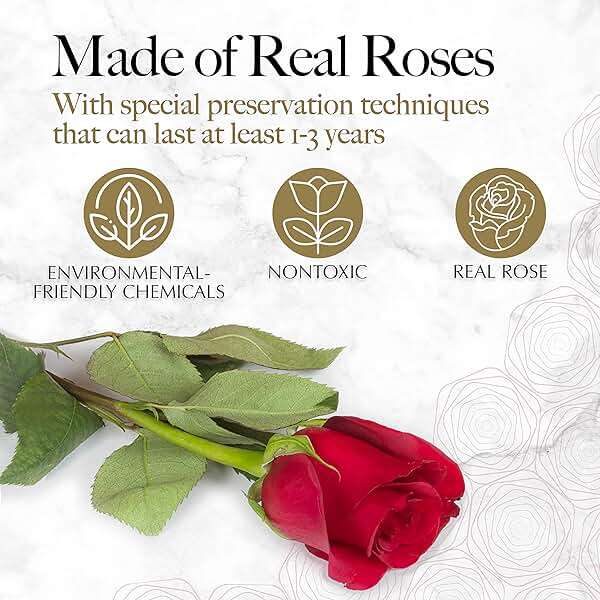 GLAMOUR BOUTIQUE 16 Flower Forever Heart Shape Box, Mothers Day Gift For Mom, Eternal Preserved Roses Gift for Her, Flowers bouquet, For Birthday, Anniversary, Girlfriend - Red - Image 3