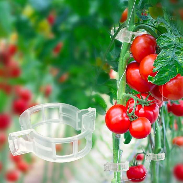 120 Pack Tomato Clips for Climbing Plants - Plant Support Clips, Garden Clips & Tomato Trellis Accessories | Plastic Plant Clips for Vertical Gardening, Cucumbers, Orchids, Vegetables - Image 1