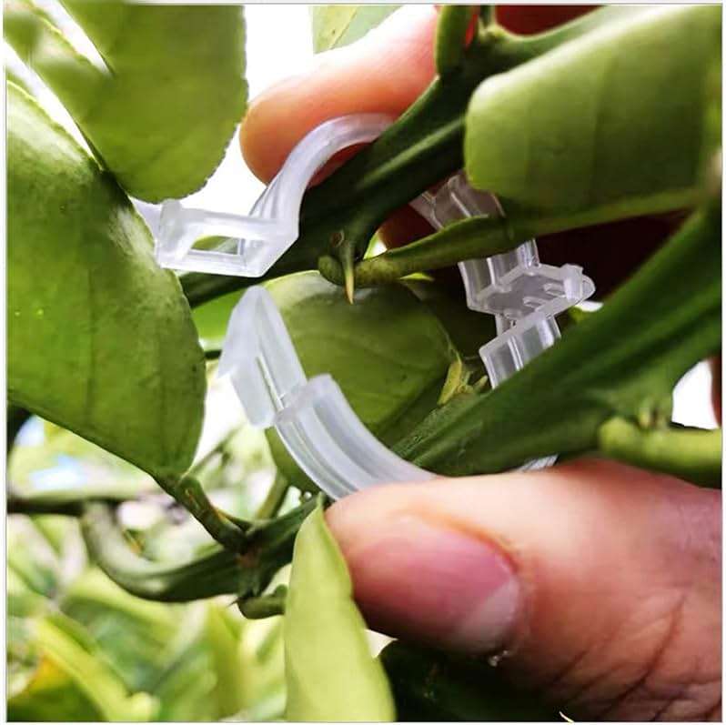 120 Pack Tomato Clips for Climbing Plants - Plant Support Clips, Garden Clips & Tomato Trellis Accessories | Plastic Plant Clips for Vertical Gardening, Cucumbers, Orchids, Vegetables - Image 5