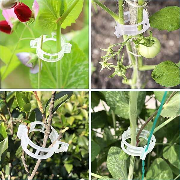 120 Pack Tomato Clips for Climbing Plants - Plant Support Clips, Garden Clips & Tomato Trellis Accessories | Plastic Plant Clips for Vertical Gardening, Cucumbers, Orchids, Vegetables - Image 6