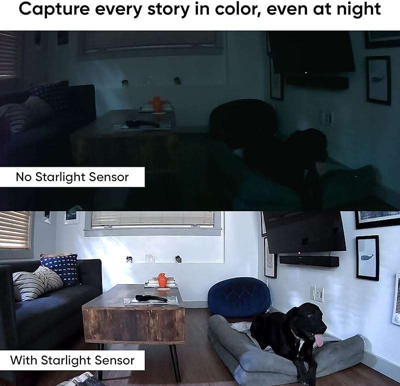 Wyze Cam Pan v2 360° Pet Camera with Phone App PTZ Indoor Smart Security Camera for Dog Cat Baby Elderly Monitoring, 2-Pack - Image 2
