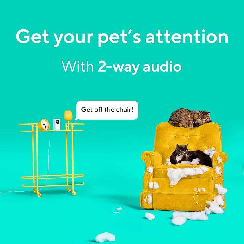 Wyze Cam Pan v2 360° Pet Camera with Phone App PTZ Indoor Smart Security Camera for Dog Cat Baby Elderly Monitoring, 2-Pack - Image 6