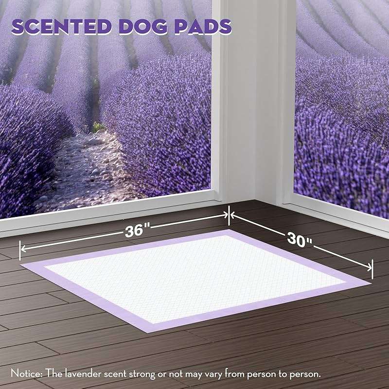 CROCI Dog Pads Extra Large 30x36in, Puppy Pads with Adhesive Tabs Super Absorbent Up to 10 Cups, Disposable (40 Counts) - Image 2