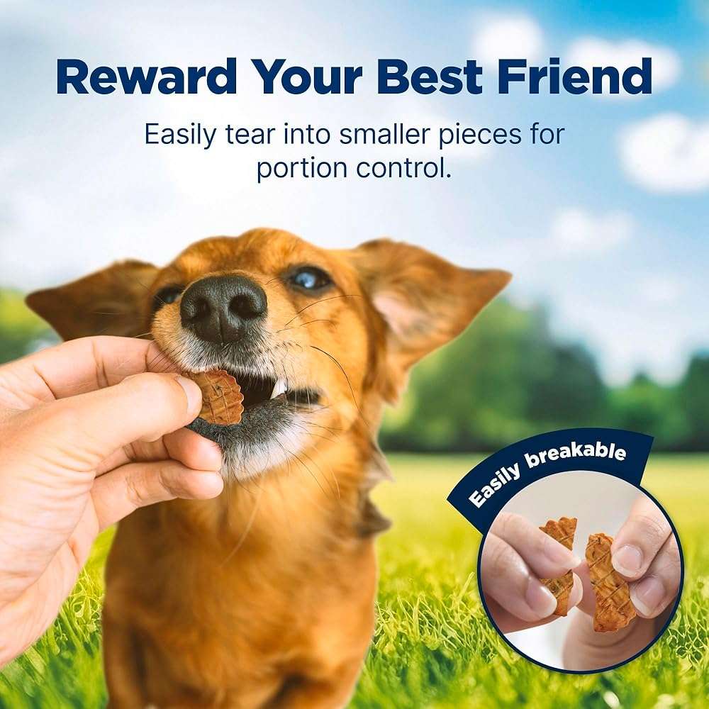 Blue Buffalo Nudges Chicken Homestyle Natural Dog Treats, Pot-Pie-Inspired Recipe, Healthy Reward or Training Treat, Made in the USA with Real Chicken, No Artificial Preservatives, 16 oz. - Image 4