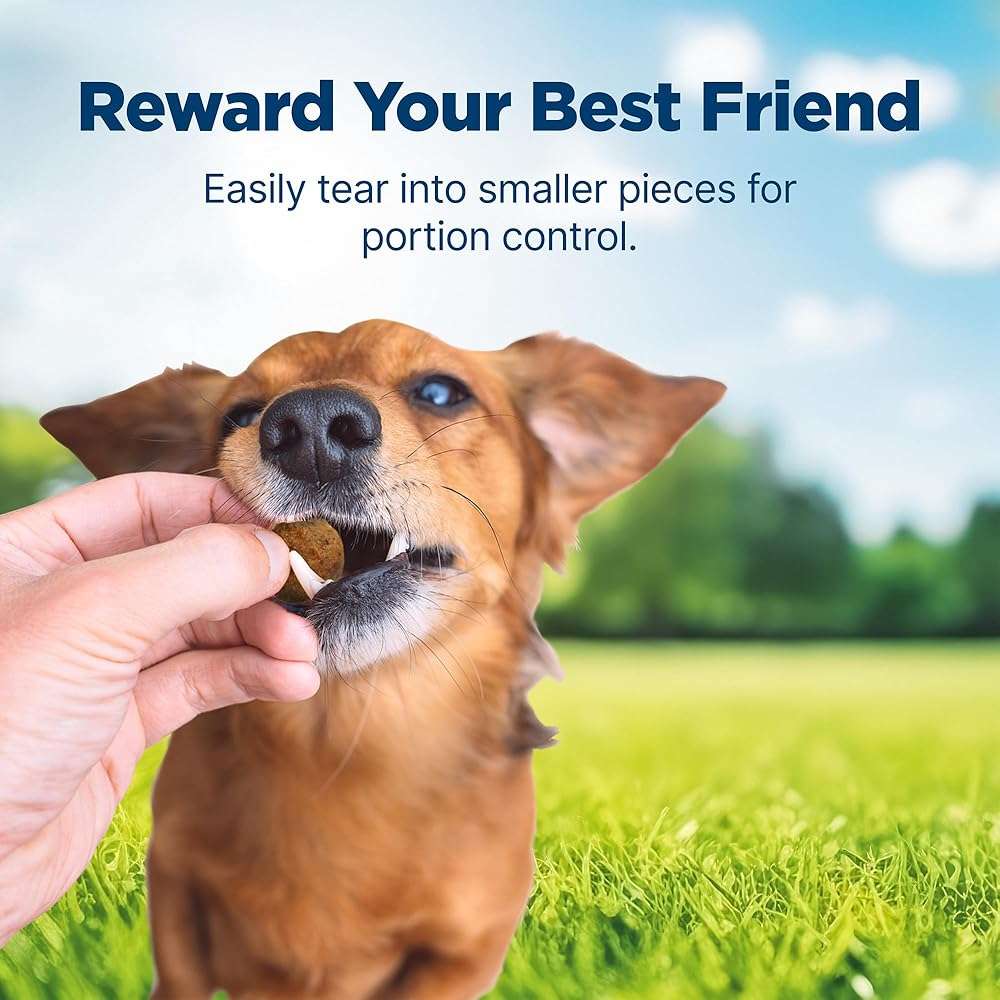 Blue Buffalo Nudges Beef & Rice Homestyle Natural Dog Treats, Meatball-Inspired Recipe, Healthy Reward or Training Treat, Made in the USA with Real Beef, No Artificial Preservatives, 16 oz. - Image 4