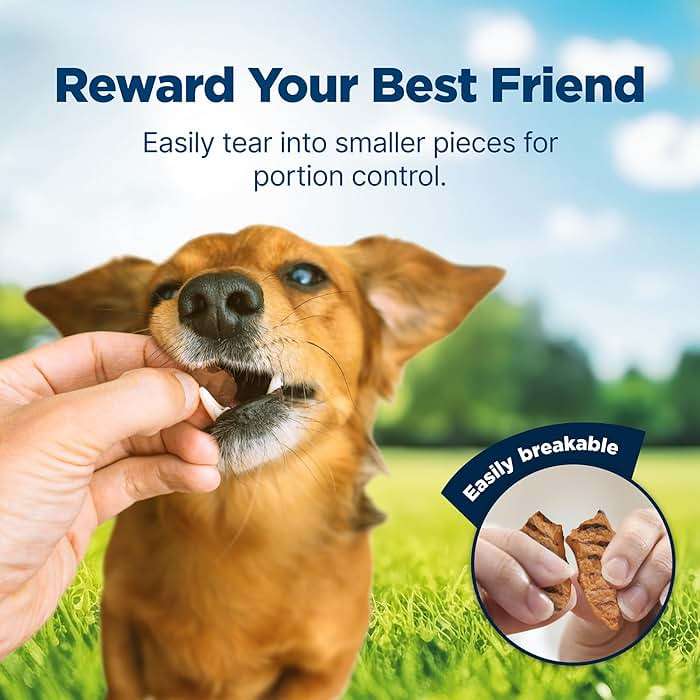 Blue Buffalo Nudges Chicken Grillers Natural Dog Treats, Tender & Meaty Dog Snacks, Easy-To-Tear for Training, Made in the USA with Real Chicken, No Artificial Preservatives, 16 oz. - Image 4