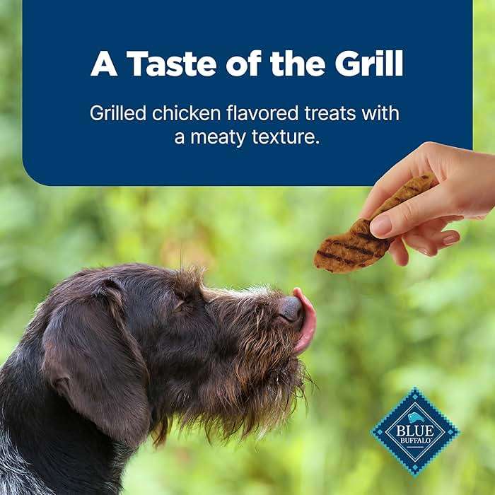 Blue Buffalo Nudges Chicken Grillers Natural Dog Treats, Tender & Meaty Dog Snacks, Easy-To-Tear for Training, Made in the USA with Real Chicken, No Artificial Preservatives, 16 oz. - Image 6