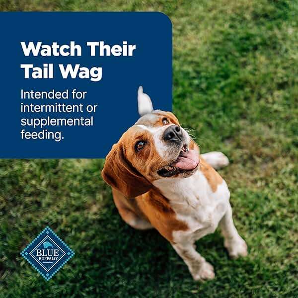 Blue Buffalo Nudges Chicken Grillers Natural Dog Treats, Tender & Meaty Dog Snacks, Easy-To-Tear for Training, Made in the USA with Real Chicken, No Artificial Preservatives, 16 oz. - Image 8