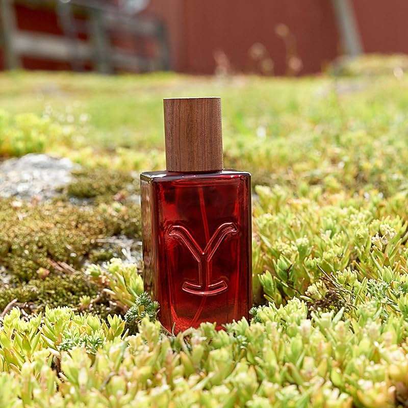 Yellowstone Tornado Women’s Perfume by Tru Western, 1.7 fl oz (50 ml) – Rich, Confident, Sensual - Image 4