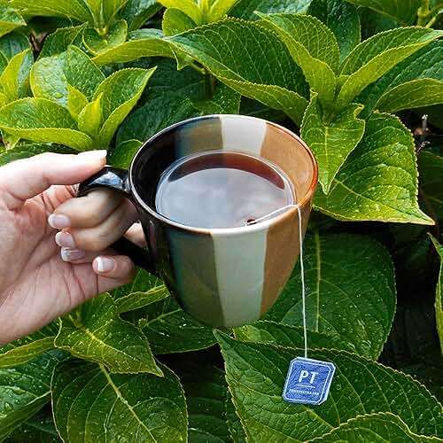 Organic Positively Tea Company, Decaf English Breakfast Black Tea Bags, 20 Count - Image 7