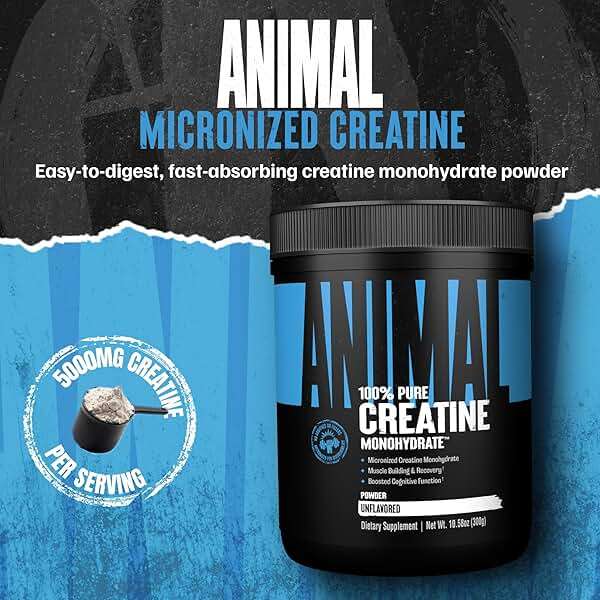 Animal Creatine Monohydrate Powder — Micronized for Muscle Recovery, Cellular Energy, and Daily Wellness — for Men and Women — Unflavored 300g - Image 2