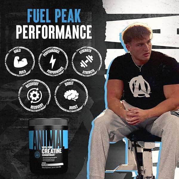 Animal Creatine Monohydrate Powder — Micronized for Muscle Recovery, Cellular Energy, and Daily Wellness — for Men and Women — Unflavored 300g - Image 3