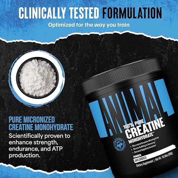 Animal Creatine Monohydrate Powder — Micronized for Muscle Recovery, Cellular Energy, and Daily Wellness — for Men and Women — Unflavored 300g - Image 5