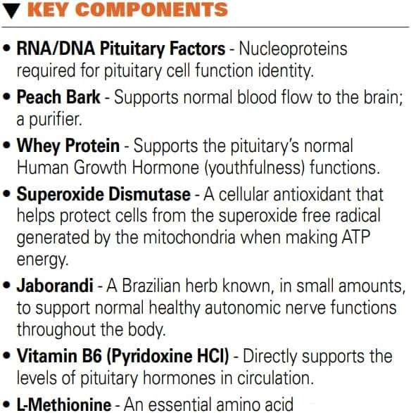 Systemic Formulas #32 Bio Function Gb Pituitary/Pineal 60 Capsules. Supports Mental Clarity and Focus and Normal circadian Rhythms. - Image 3