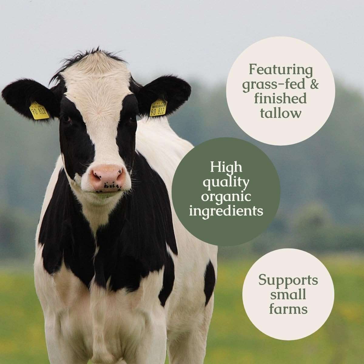 Hearth & Homestead Whipped Beef Tallow for Skin & Face - 100% Grass Fed, Eczema Cream & Body Butter - Organic Olive Oil, Calendula & Rose - Lotion & Hand Moisturizer for Dry Skin, Unscented, 1.3oz - Image 4