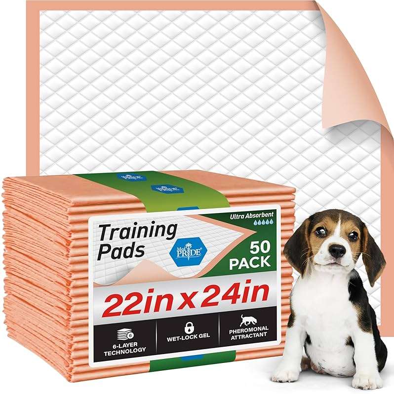 MED PRIDE Dog Training Pads with Attractant, 100 Count Disposable Puppy Pee Pads, 22 x 24 in, 6-Layer Ultra Absorbent Potty Pads with Leakproof Backing for Dogs, Cats & Small Pets - Image 1