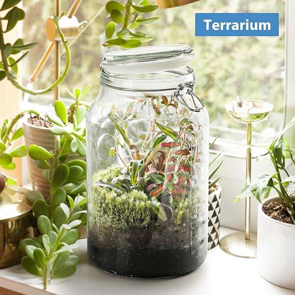 1 Gallon Super Wide Mouth Glass Storage Jars with Airtight Lids and 2 Measurement Marks, Leak Proof Glass Container with Hinged Lids, Large Pickle Jars with Labels and Silicone Gasket, 2 Pack - Image 6