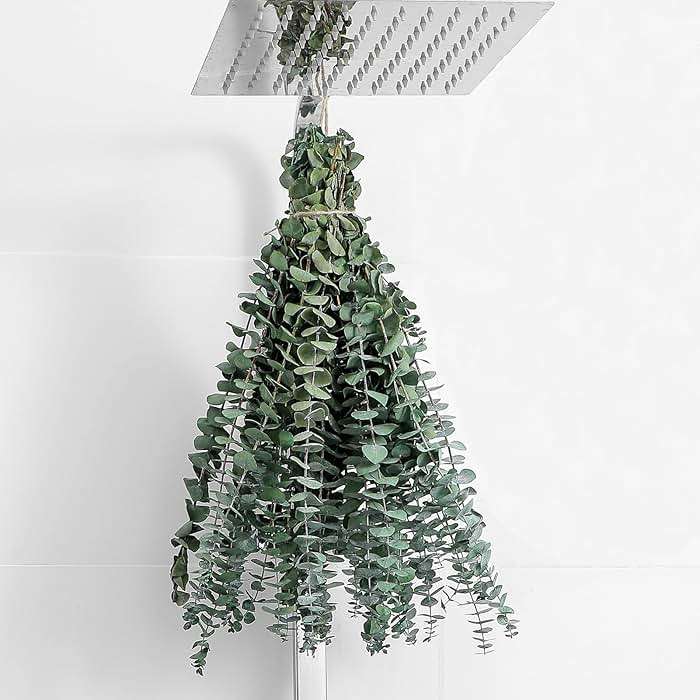 10 Pcs Dried Eucalyptus Stems 17" Real Eucalyptus for Shower Hanging 100% Made from Fresh Leaves, Wedding, Home, Farmhouse, DIY Spring Decor Bathroom Decor Home Decor - Image 1