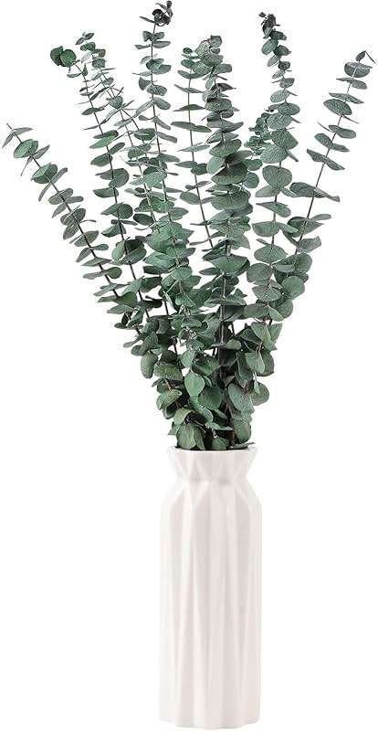 10 Pcs Dried Eucalyptus Stems 17" Real Eucalyptus for Shower Hanging 100% Made from Fresh Leaves, Wedding, Home, Farmhouse, DIY Spring Decor Bathroom Decor Home Decor - Image 2