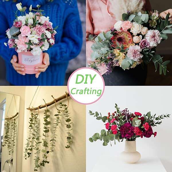 10 Pcs Dried Eucalyptus Stems 17" Real Eucalyptus for Shower Hanging 100% Made from Fresh Leaves, Wedding, Home, Farmhouse, DIY Spring Decor Bathroom Decor Home Decor - Image 6