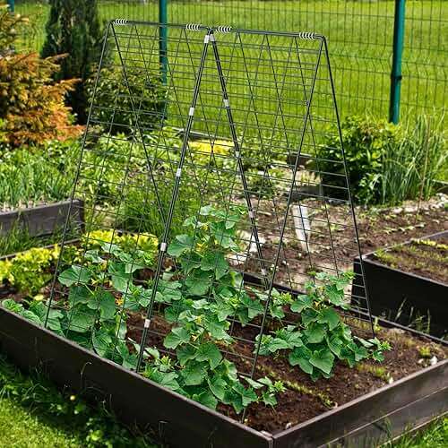 AGTEK 34" x 48" Foldable Cucumber Trellis with Garden Stakes and Zip Ties Plant Support A Frame Metal Trellis for Climbing Plants, Cucumber, Vegetable, Flowers - Image 2