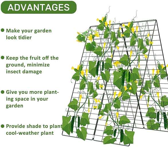 AGTEK 34" x 48" Foldable Cucumber Trellis with Garden Stakes and Zip Ties Plant Support A Frame Metal Trellis for Climbing Plants, Cucumber, Vegetable, Flowers - Image 4
