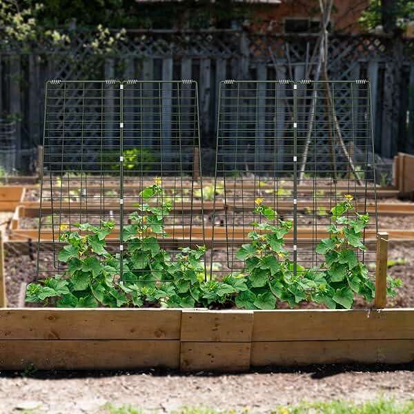 AGTEK 34" x 48" Foldable Cucumber Trellis with Garden Stakes and Zip Ties Plant Support A Frame Metal Trellis for Climbing Plants, Cucumber, Vegetable, Flowers - Image 7
