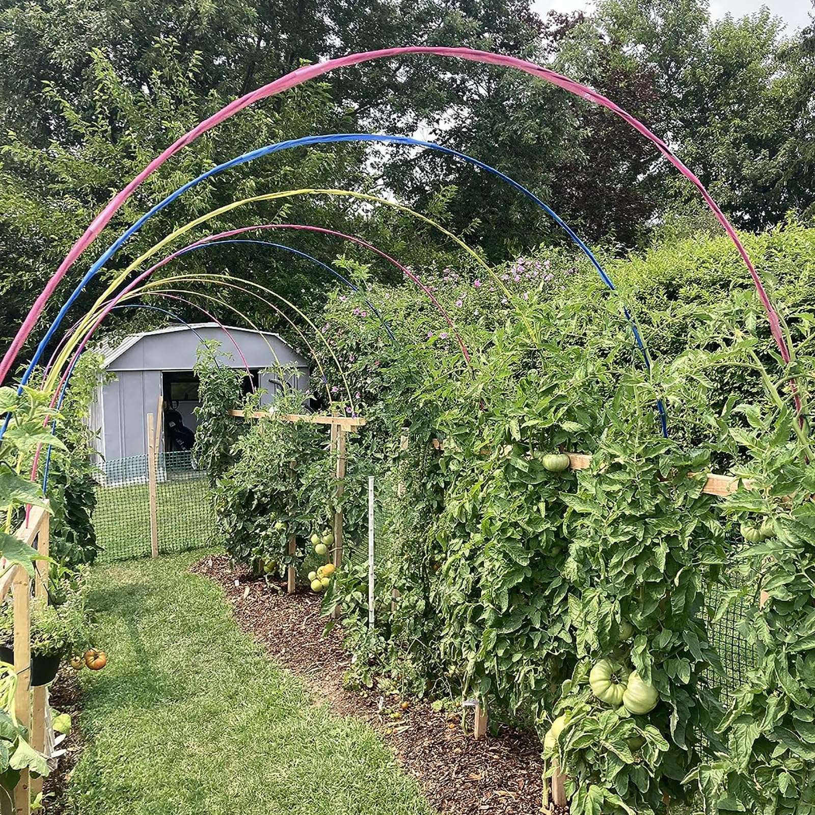 Garden Hoops Grow Tunnel, 12 Sets of 7FT Greenhouse Hoops for Raised Beds, Rust-Proof Fiberglass Frame for Garden Netting, Small Greenhouse Kit, DIY Plant Support Garden Stakes, 60 pcs - Image 2