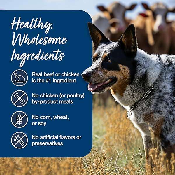 Blue Buffalo Blue’s Stew Variety Pack Hearty Beef & Country Chicken Stew Natural Grain Free Wet Dog Food with Real Meat in Thick Savory Gravy, Natural Ingredients, 12.5-oz Cans (6 Count) - Image 6