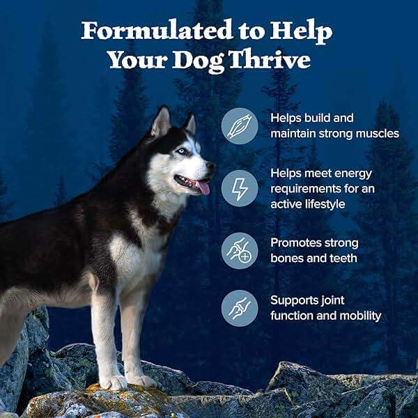 Blue Buffalo Wilderness Chicken Adult Dry Dog Food with Wholesome Grains + Antioxidant-Rich Fruits & Veggies, 39g Protein, Vibrant Energy for an Active Life, Made with Natural Ingredients, 28 lbs. - Image 5