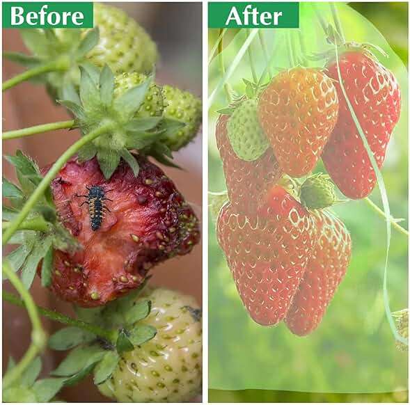 Fruit Protection Bags, Kikhope 20 Pcs 20x14 inch Fruit Netting Bags, Garden Fruit Cover Mesh Bag with Drawstring, Netting Barrier Bags for Plant Fruit Flower and Vegetables - Image 8