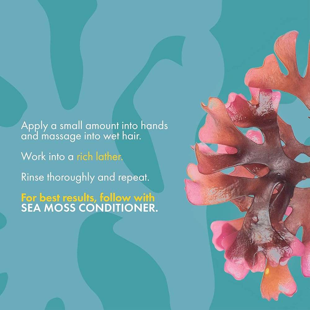 Mielle Organics Sea Moss Anti-Shedding Shampoo - Image 3