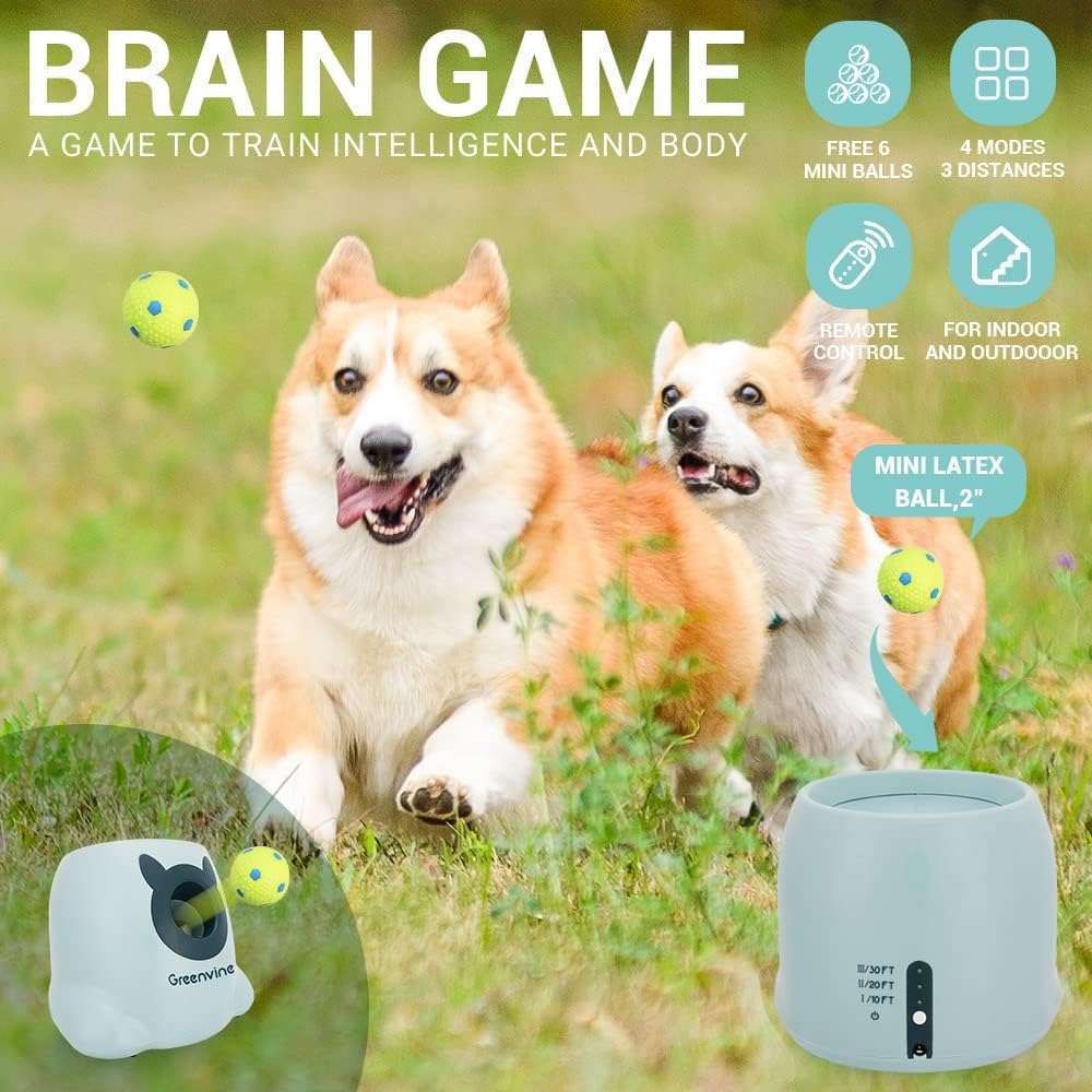 Greenvine Automatic Dog Ball Launcher Interactive Ball Thrower Fetch it Machine for Dogs with 6 Durable High Elasticity Latex Balls Included - Image 2