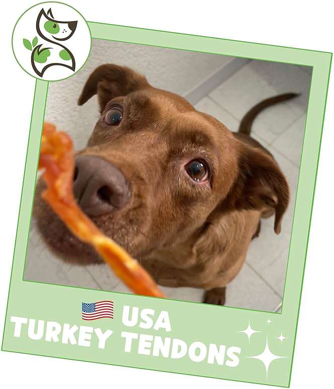 Nature Gnaws USA Turkey Tendons for Dogs (4oz) - Delicious Grain Free Reward Snack for Small, Medium & Large Breeds - Premium Natural Dog Chew Treats - Image 6