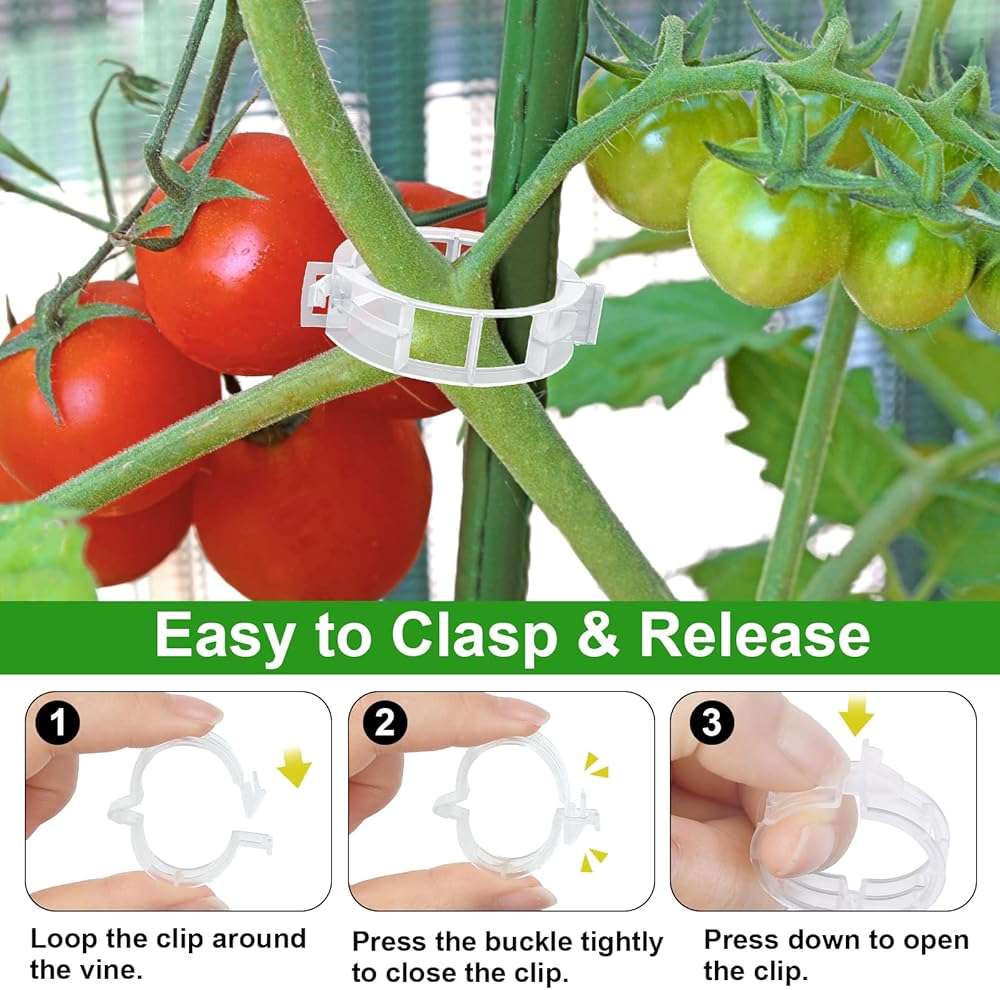 250 Pcs Tomato Clips and Hooks, Plant Support Clips for Tomatoes Cucumber Grape Melon, Makes Plants Grow Upright or Prevent Falling Off, Makes Plants Healthier, J Tomato Hooks Trellis Vine Cages Clip - Image 3