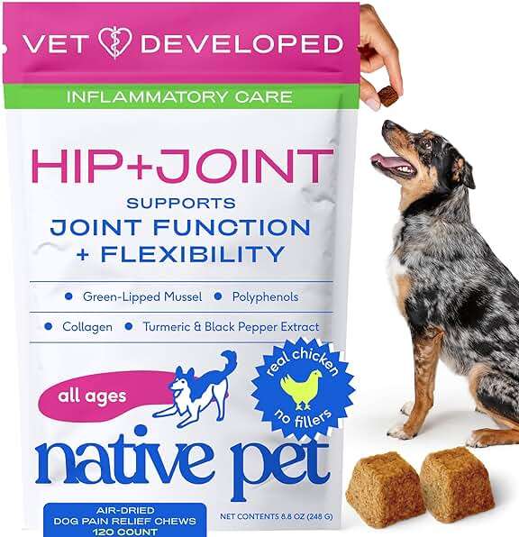 Native Pet Inflammatory Care - Pain Relief for Dogs - Green-Lipped Mussel, Turmeric & Collagen for Dogs - Hip and Joint Supplement Supports Healthy Inflammatory Response & Joint Comfort - 120 Chews - Image 1