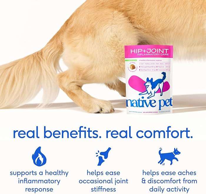 Native Pet Inflammatory Care - Pain Relief for Dogs - Green-Lipped Mussel, Turmeric & Collagen for Dogs - Hip and Joint Supplement Supports Healthy Inflammatory Response & Joint Comfort - 120 Chews - Image 3
