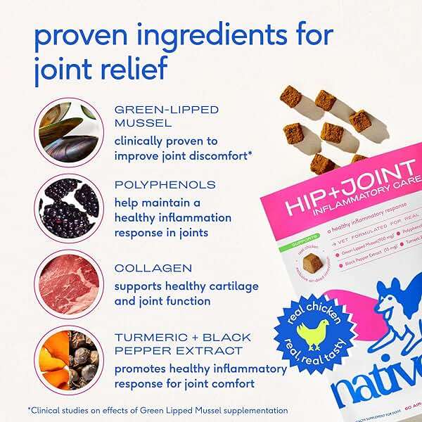 Native Pet Inflammatory Care - Pain Relief for Dogs - Green-Lipped Mussel, Turmeric & Collagen for Dogs - Hip and Joint Supplement Supports Healthy Inflammatory Response & Joint Comfort - 120 Chews - Image 4