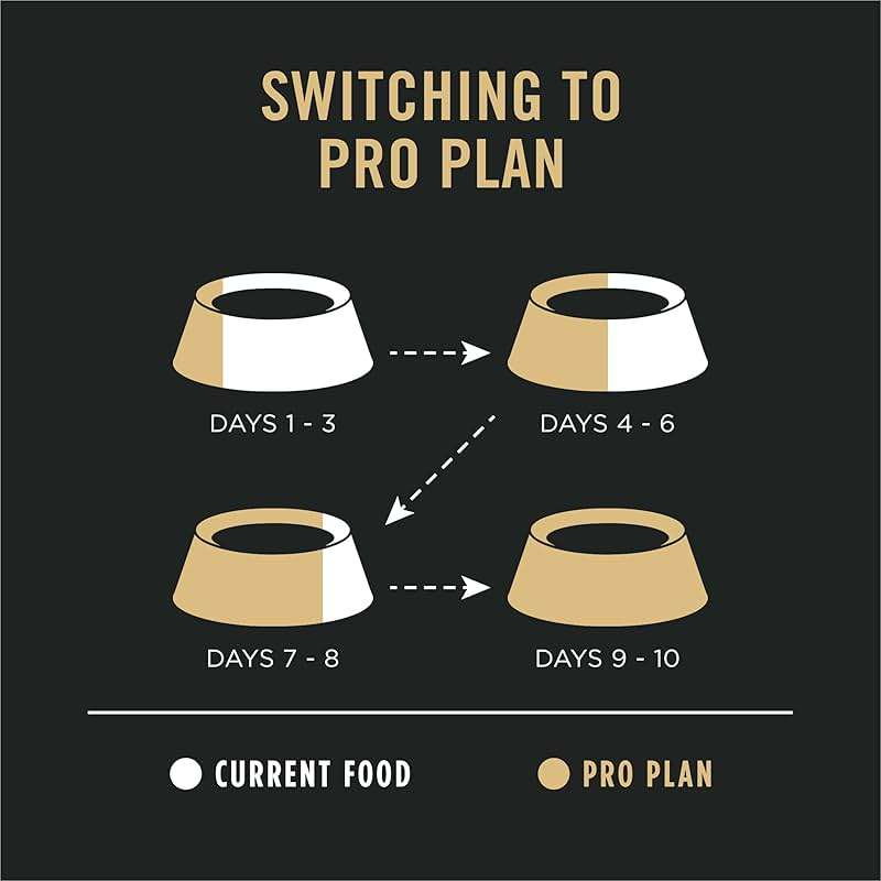 Purina Pro Plan Sensitive Skin and Stomach Dog Food Dry, Adult Salmon & Rice Formula, Digestive Health - 40 lb. Bag - Image 13