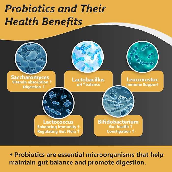 Probiotics with Prebiotics for Men and Women - 35 Strains Probiotics 100 Billion CFU for Gut & Digestive Health, Vegan Acidophilus Probiotic Supplement, Non-GMO Raw Probiotic 60 Capsules - Image 4