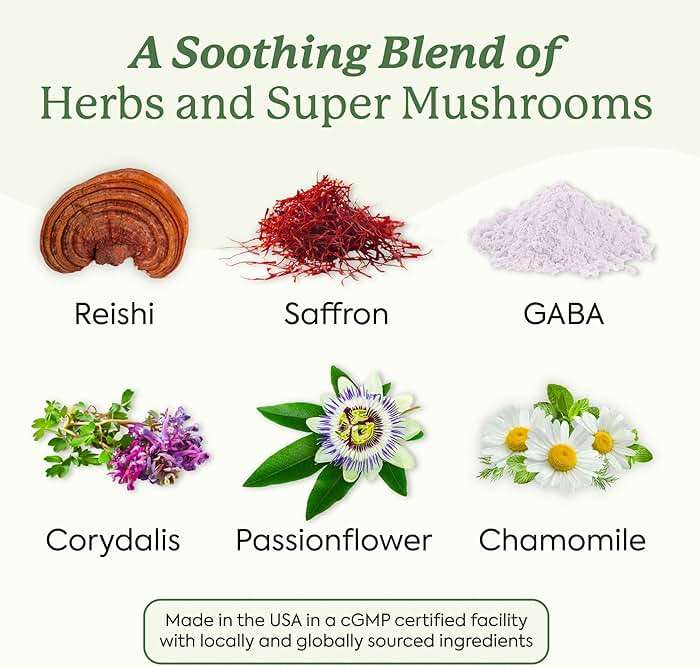 Plant People WonderSleep Mushroom Gummies Supplement for Sleep, No Melatonin Sleep Gummies with Reishi Mushroom, Saffron & Chamomile, Wild Elderberry Flavor, Sugar-Free (60 Count) - Image 5