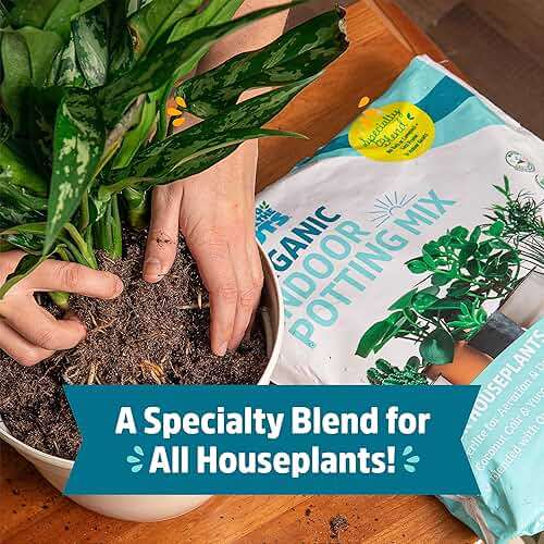 Back to the Roots 100% Organic Indoor Potting Mix (6 Quart), Promotes Healthy Houseplant Growth, Made in The USA - Image 4