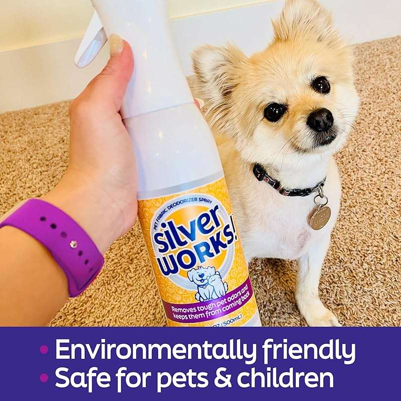SilverWorks! Pet Odor Eliminator Spray For Home - Safe, Natural, Silver Ion Deodorizer - Cat, Dog Smell And Urine Odor Eliminator For Carpet, Furniture And Litter -16.9oz - Image 5
