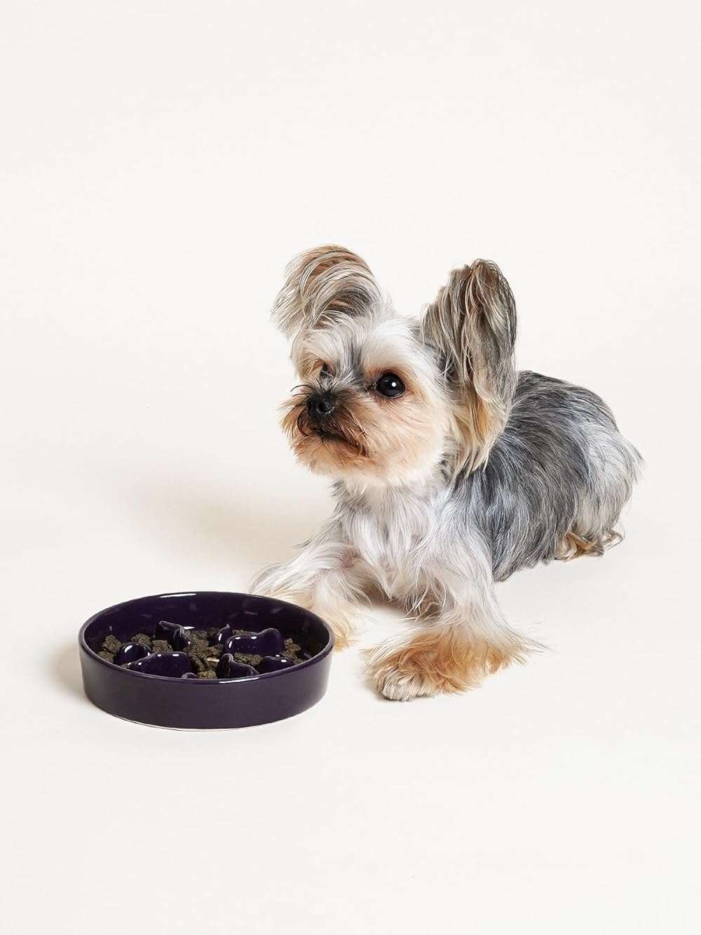 LE TAUCI PET Ceramic Slow Feeder Dog Bowls Small Breed, 0.5 Cups Dog Food Dish for Fast Eaters, Puzzle Bowl for Small Dogs and Cats, 5.5 Inch-Purple - Image 6