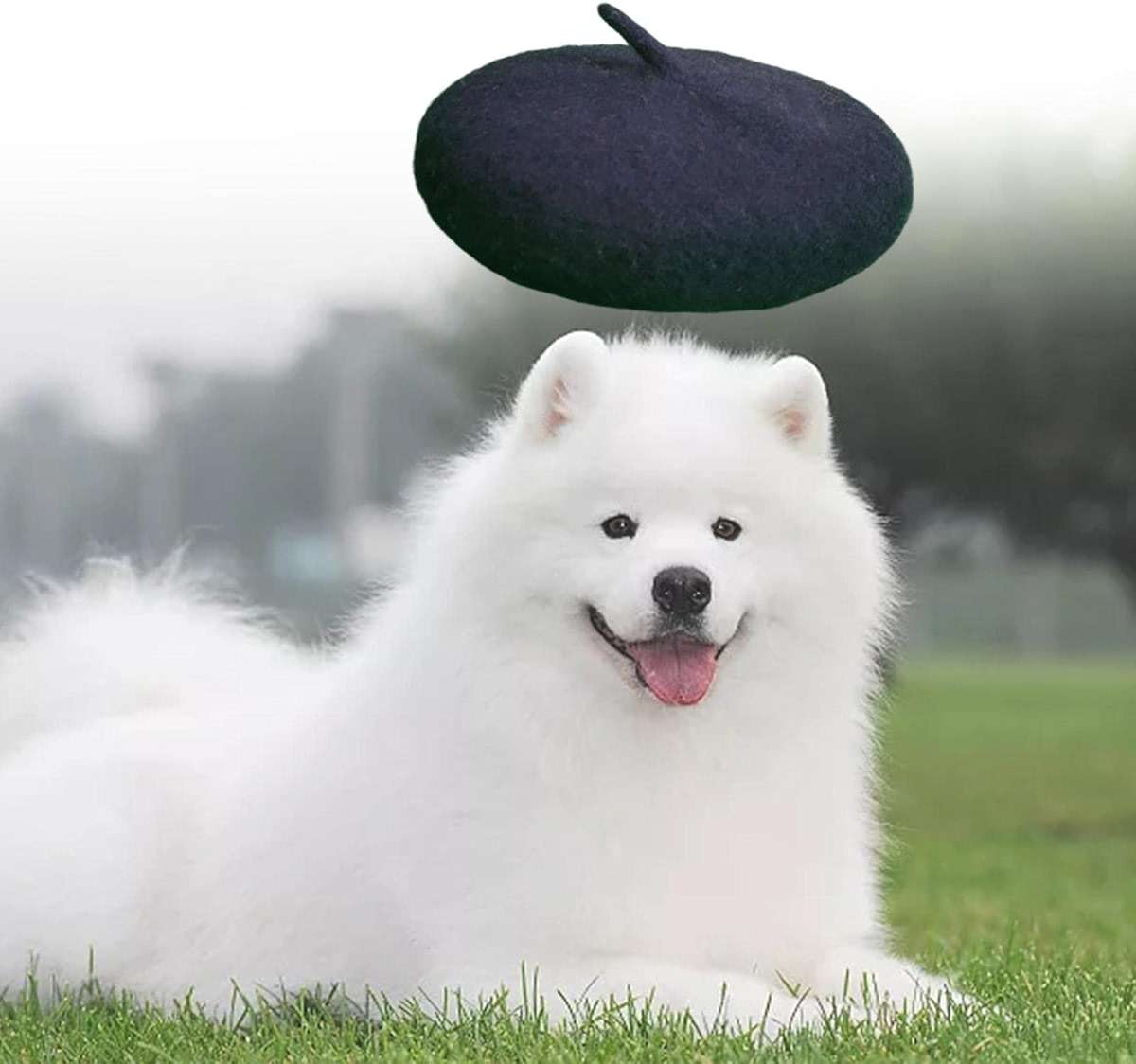 Leefasy Dog Cat Wool Beret Hat, 5.1 Inch Diameter with Adjustable Chin Strap, Warm Pet Costume for Photos and Vacations, Black - Image 5