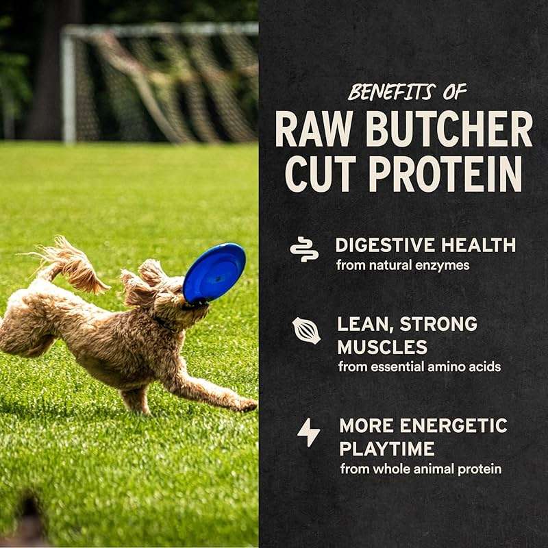 Vital Essentials Freeze Dried Minnows Dog Treats | Single Ingredient | Premium Quality | Grain Free Treats for Dogs, 1 oz Bag - Image 4