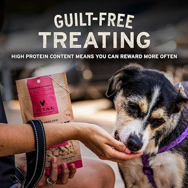 Vital Essentials Freeze Dried Dog Treats | Salmon Bites, Single Protein | Premium Quality | Grain Free Training Treats for Dogs, 2.5 oz Bag - Image 7
