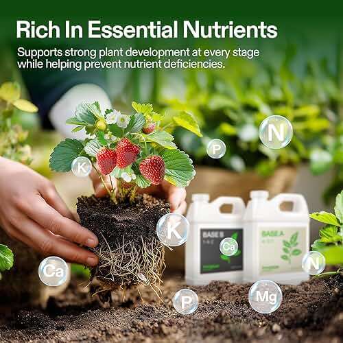 VIVOSUN Liquid Nutrients Base A & B Bundle, Grow Big Hydroponic Fertilizer, Supports Vegetative and Flowering Stages for Outdoor, Indoor Plants, Best Plant Food, Set of Quarts - Image 2