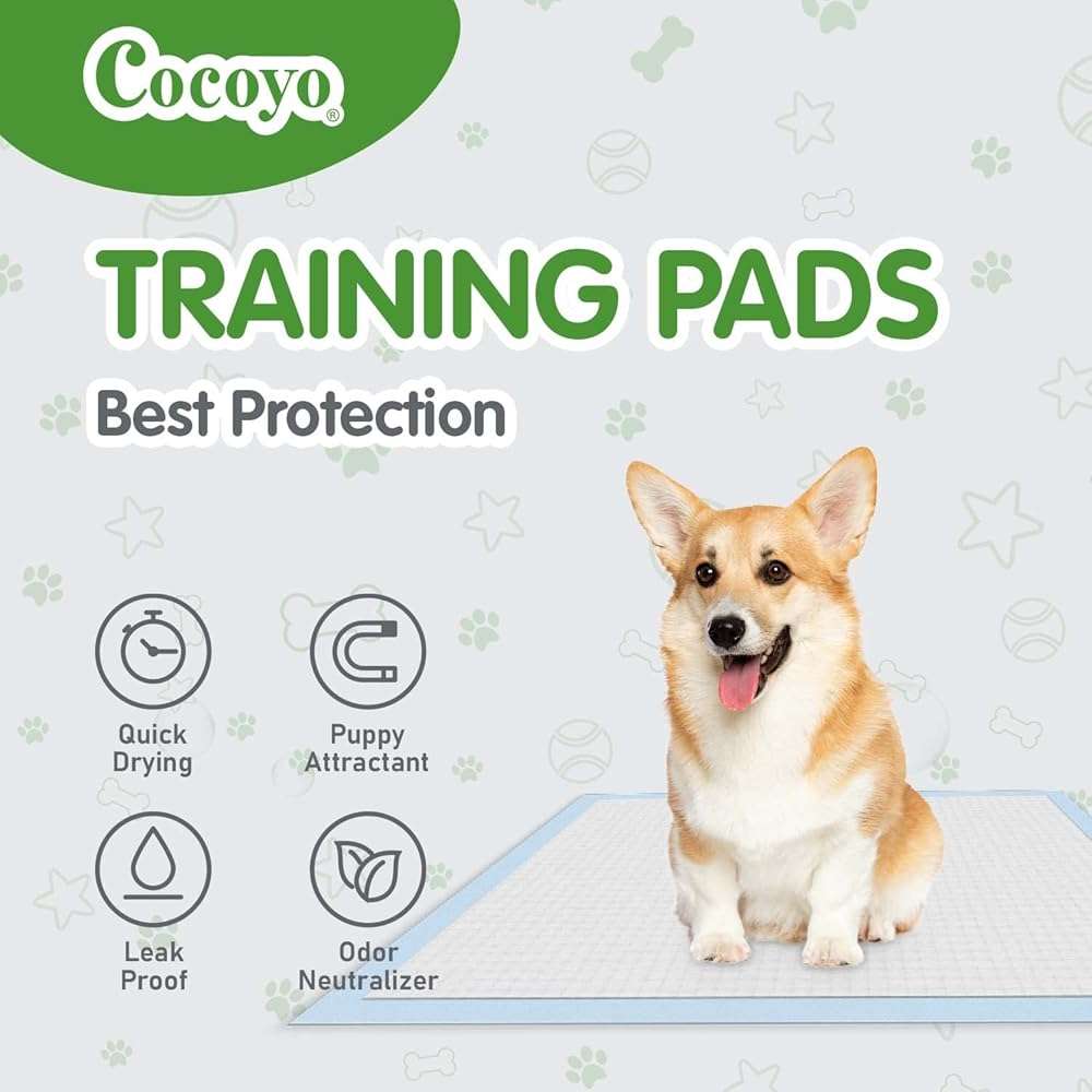 COCOYO Best Value Training Pads 100 Count 13“ by 17.7”| Dog Pee Pads | Super Absorbent Puppy Pads,Blue - Image 2